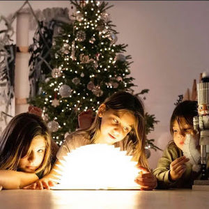 Meet your Posher, Alexia